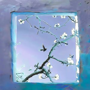 窝窝美女妺妺人体艺图片
